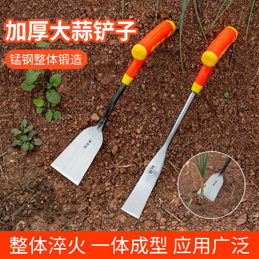 郓城县 挖蒜铲剜出蒜铲农用挖野菜拔草工具挖药材蚯蚓种花种菜园艺小铲子