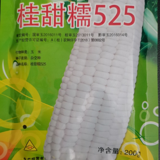 南宁甜玉米种子 水果型白糯玉米种子：蔬菜型水果型甜糯玉米加甜