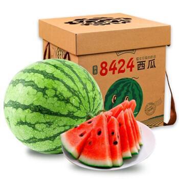 上海麒麟西瓜  金山8424西瓜种植户西瓜大棚瓜