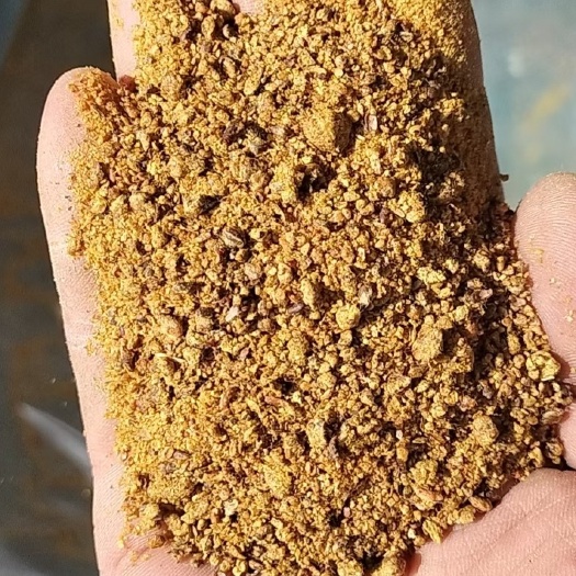 阿克苏市微生物有机肥  棉粕，棉籽饼蛋白46脂肪高，新疆阿克苏直发