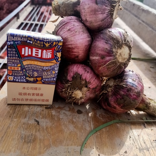 杞县紫皮蒜 【精品大蒜】大量上市 ，可供电商， 超市 ，市场等