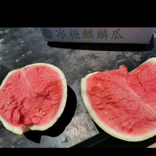 宜城市8424西瓜 美都•8424