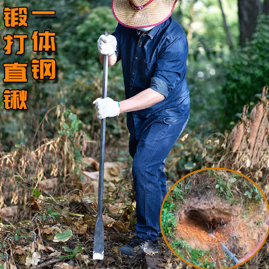 丽水锹锨铲类 锻打挖树洞铲子锰钢加厚移植撬挖坑铁镐园艺林工具花除