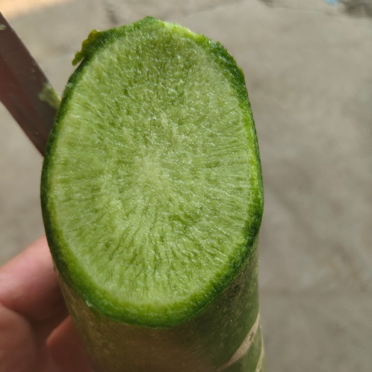 平度市白萝卜  水果萝卜，电商水果萝卜，加工厂水果萝卜