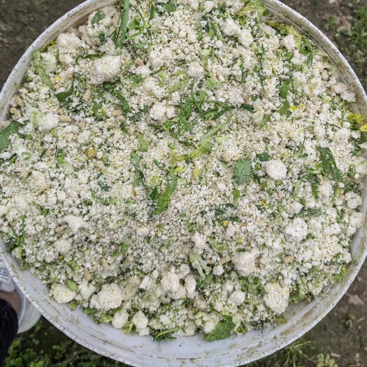 常宁市发酵豆腐渣，营养价值高，价格美丽，有限降低养殖成本