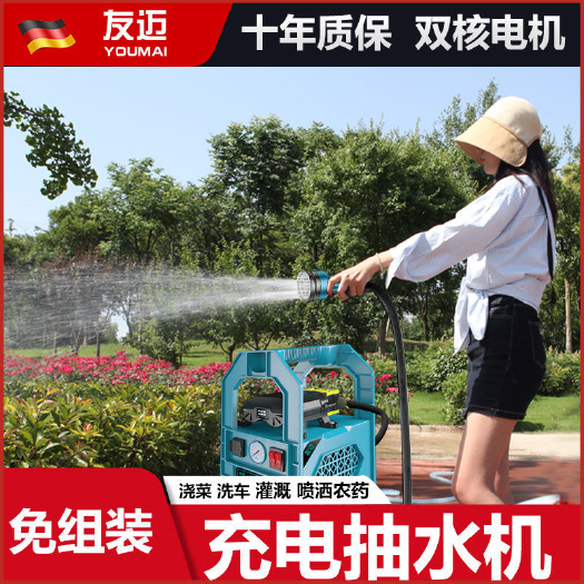 杭州打藥機電動噴霧器農(nóng)用手提式充電果樹抽水洗車機高壓隔膜雙泵機