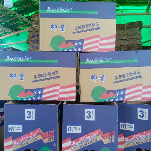 汝城县帅童无籽西瓜小型西瓜奶油吊瓜 产地直供一手货源 实力代办