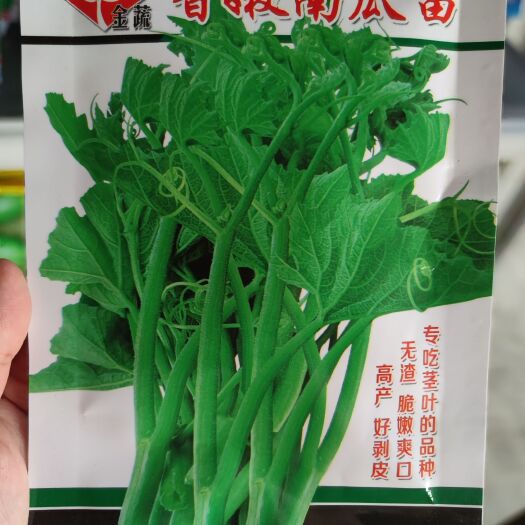 南昌香嫩南瓜苗南瓜种子，10克，专吃茎叶，无渣催嫩爽口