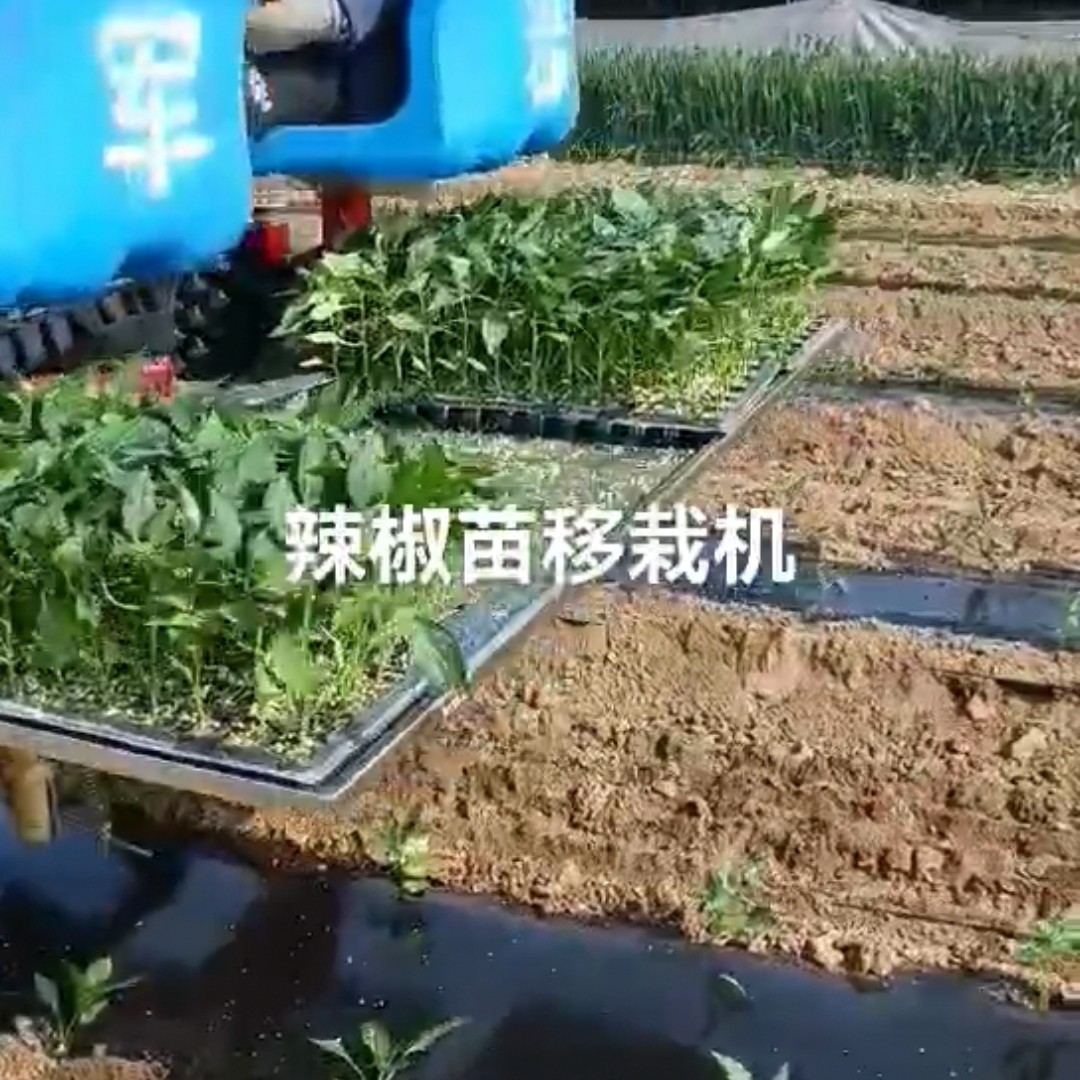  多功能移栽机，辣椒苗移栽机。