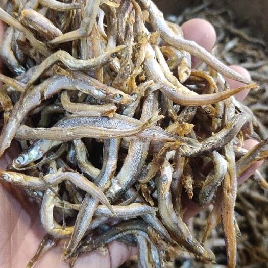 合浦县 熟银鱼干  熟干银针鱼干 淡干不咸