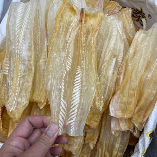 湛江花胶 8-12寸鱼唇新鲜鱼唇口感好胶质丰富