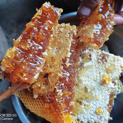 盐边县农家好蜂蜜，侏罗纪只卖好山货！