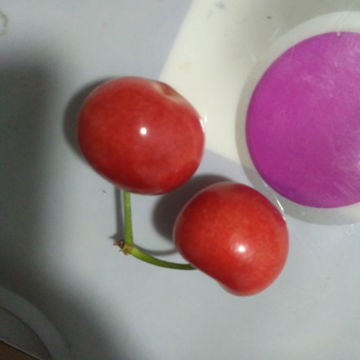 临朐县美早樱桃 美早大樱桃，口感好，果大，甜度高