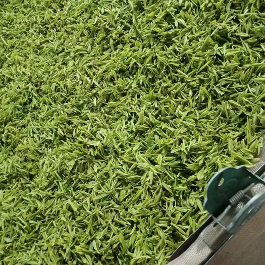 桐柏县龙井茶 茶叶