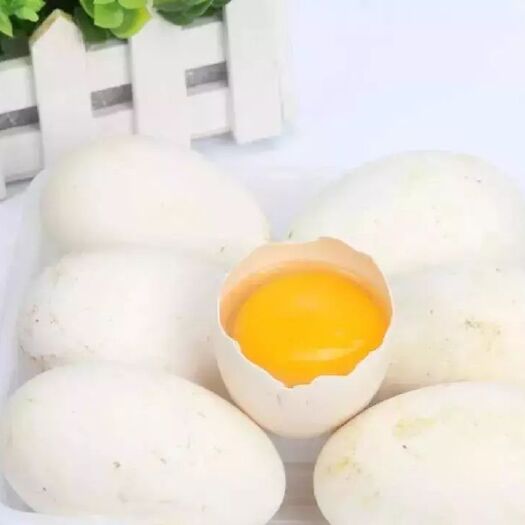 阜南县土鹅蛋 家养鹅蛋！