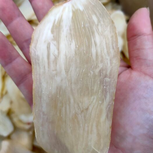 亳州精选天麻片 生切片 无硫 产地直供 大量供应