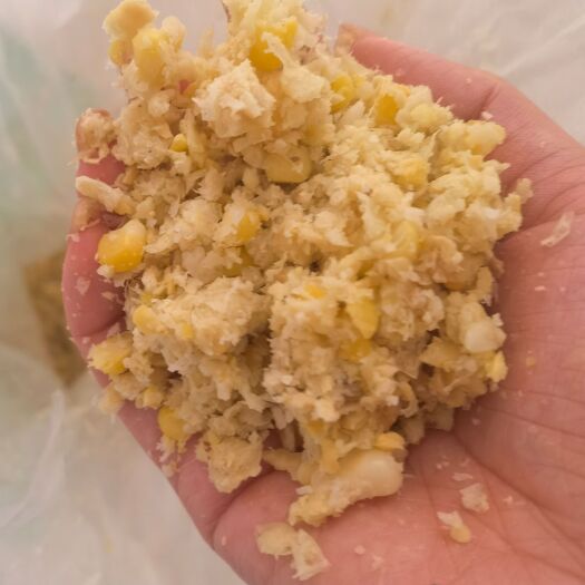 易县熟玉米发酵饲料，养殖鸡鸭鹅牛羊猪，营养丰富