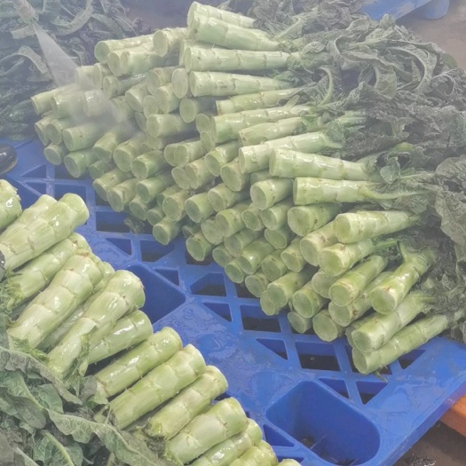 兰州 兰州莴笋上市了，欢迎来电咨询
