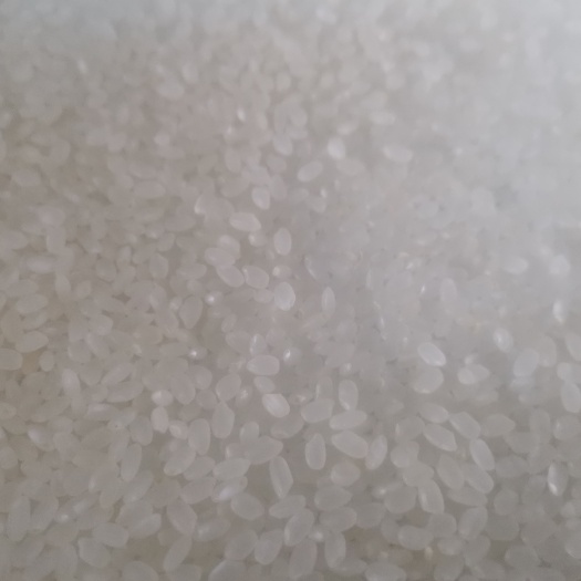 成都珍珠米