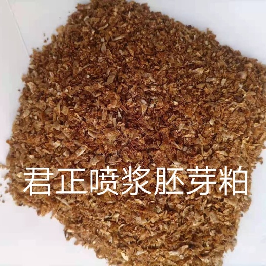 惠民县 玉米胚芽粕