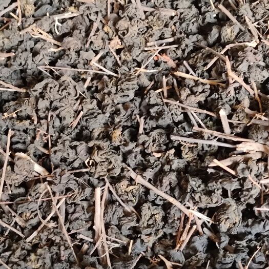 同心县 地皮菜，雷公屎，地软菜。量大价格还可以商量