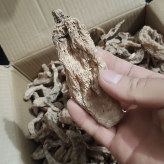 商南县黄天麻 天麻