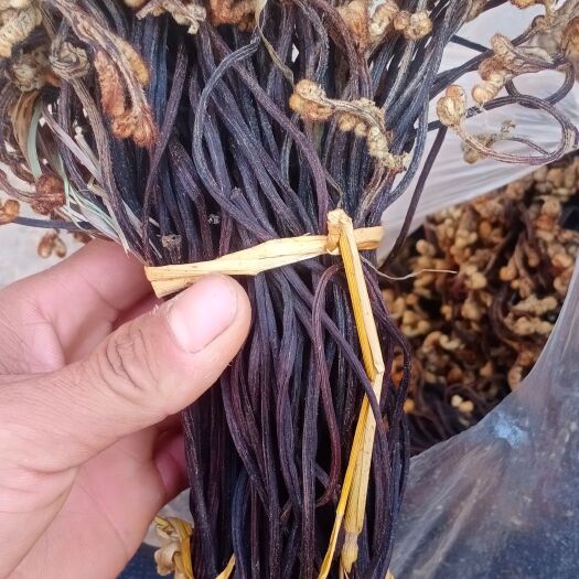 蕨菜干   蕨菜 云南文山撅菜，干货