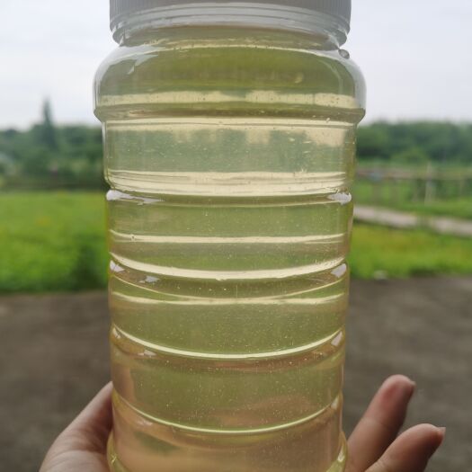 虞城县 蜂蜜。蜂场直销