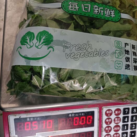 阳山县枸杞芽可盒装，袋装，散装，基地直发，欢迎各位老板采购