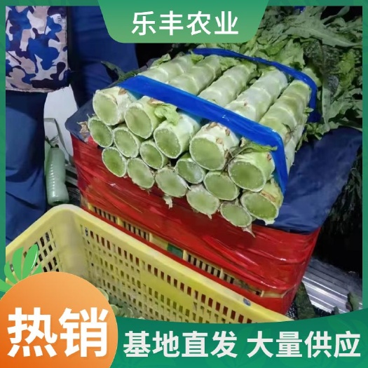 钟祥市湖北红叶莴笋，产地大量上市，按老板要求做货，市场货.光杆.