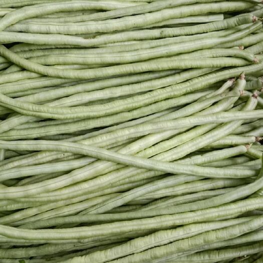 南宁白条豆角 甜豆角，大量上市