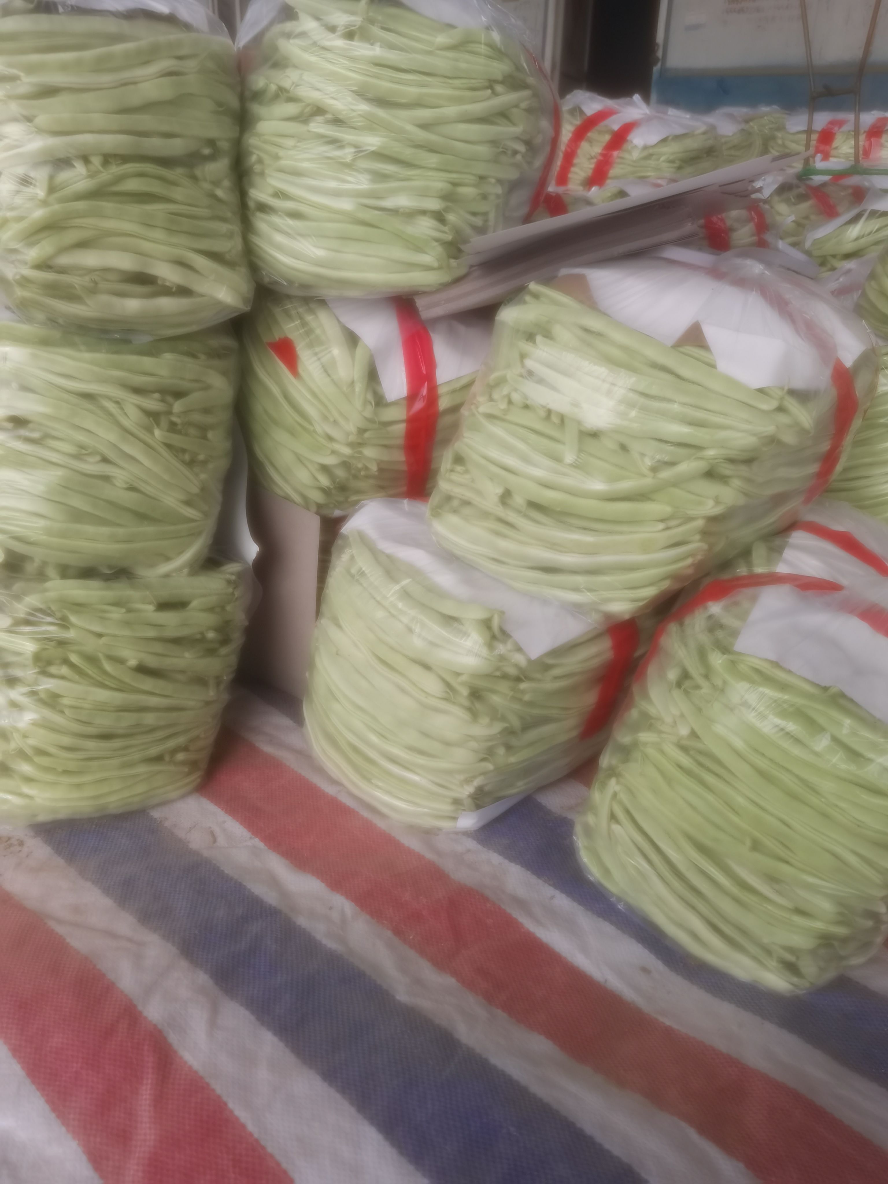 白条豆角 精品白不老   条长    量大