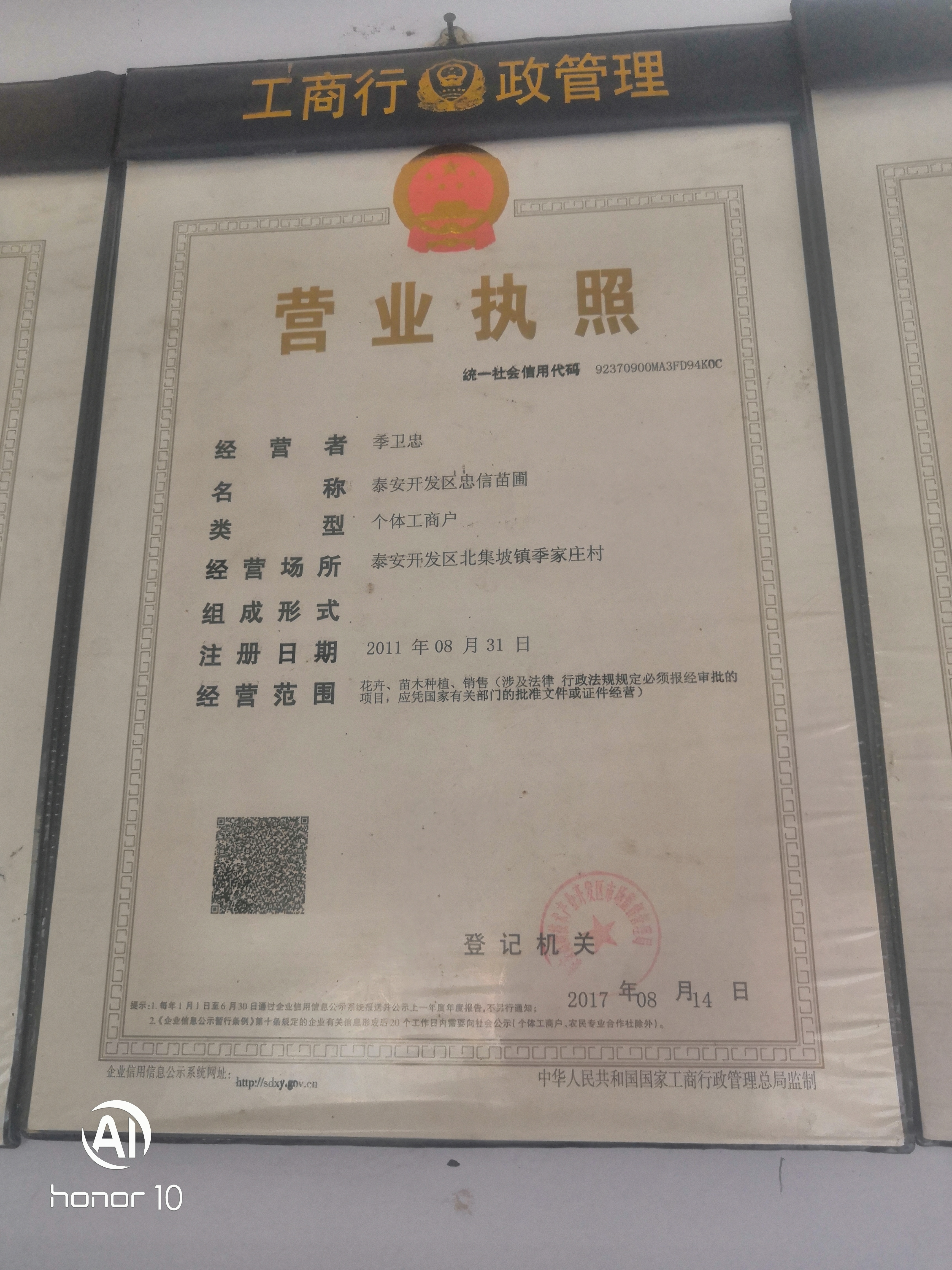 山東泰安苗木