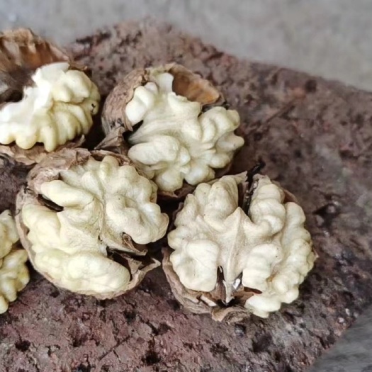 巍山县薄皮核桃 核桃