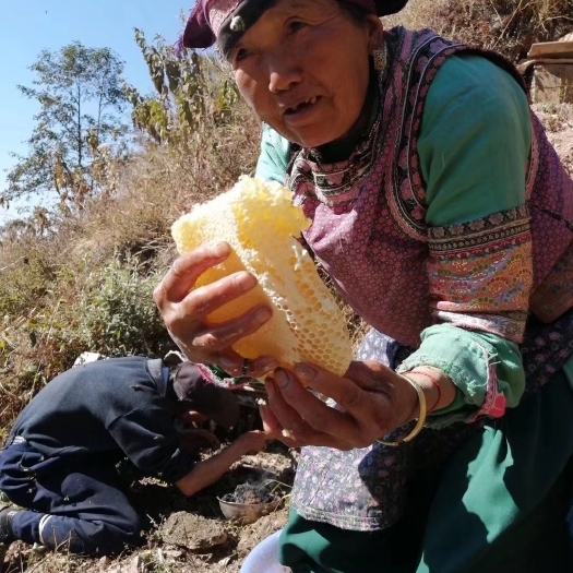 土蜂蜜 蜂蜜