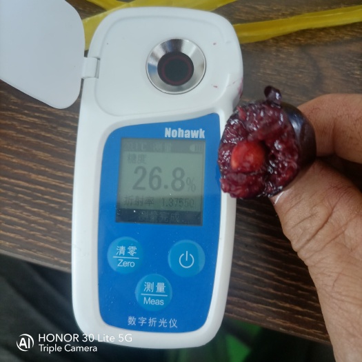 大连俄罗斯8号 俄罗斯八号大樱桃