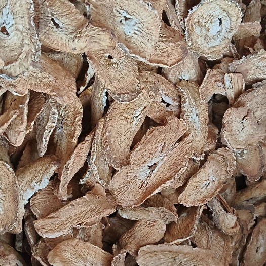 牛蒡根，牛蒡茶，中药材牛蒡
