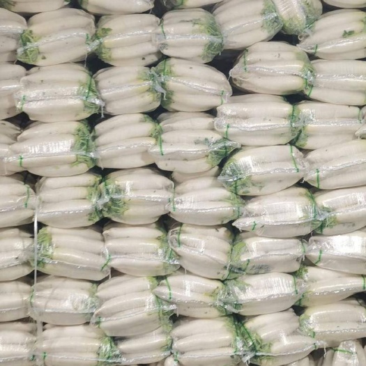 精品，白萝卜，条形好看，三排四排五排，走市场加工养殖等等