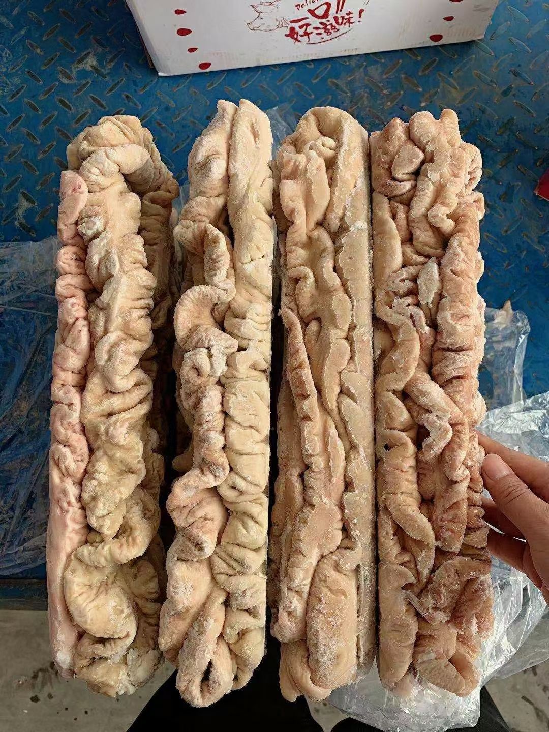 猪肠  预煮猪大肠，工厂源头直销，质量稳定，欢迎选购！