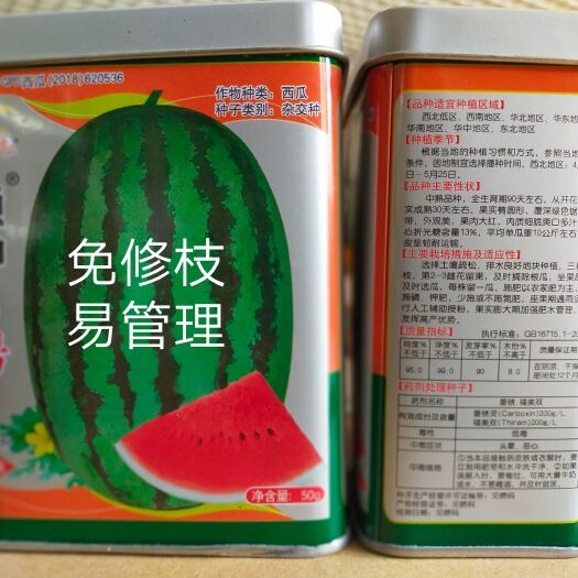 懒神6号西瓜种子~抗病大果亩产6500公斤懒汉西瓜种子
