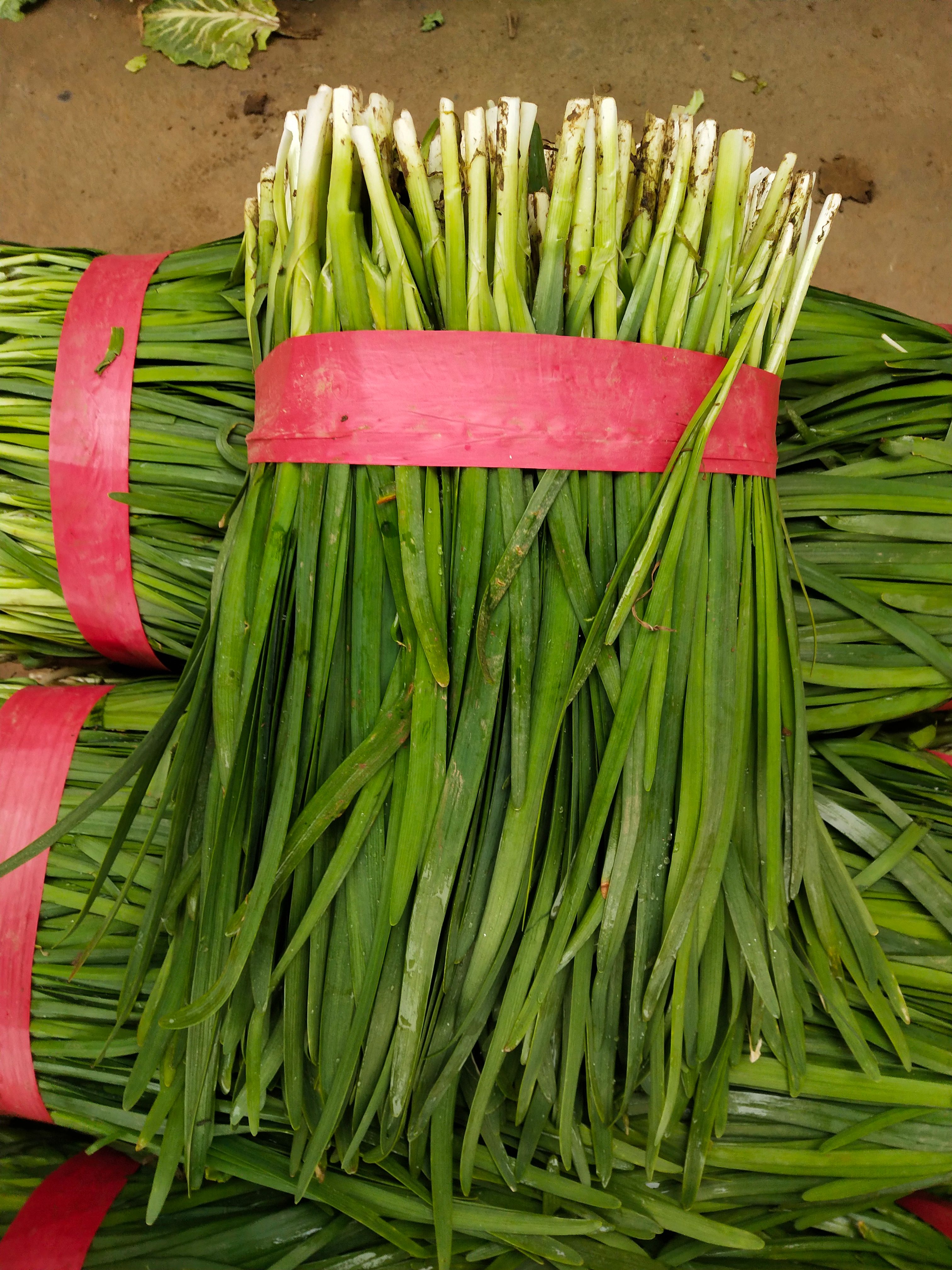 韭菜 河南汝州精品韭菜大量上市，视频看货，欢迎来电咨询
