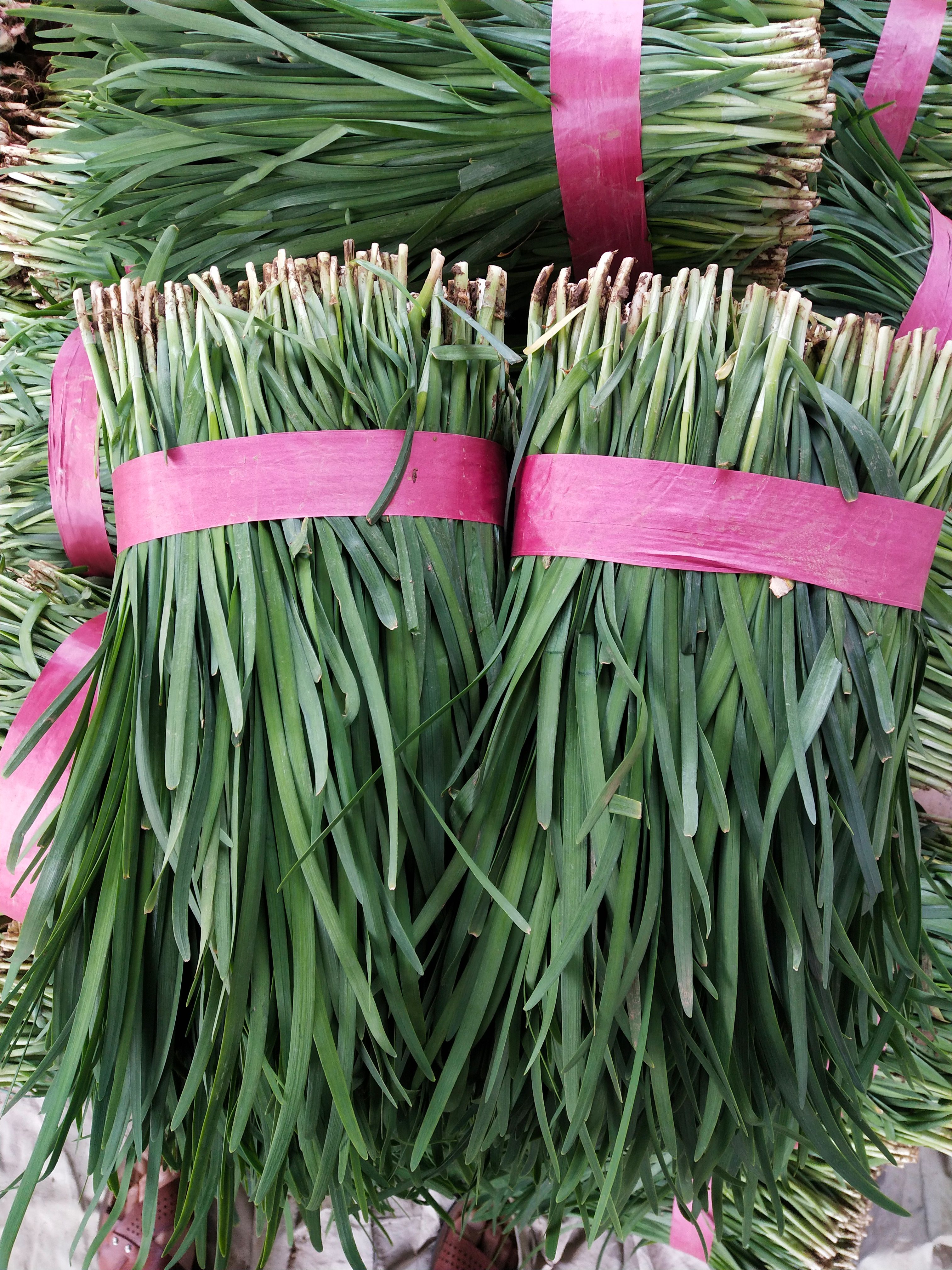 韭菜 河南汝州精品韭菜大量上市，视频看货，欢迎来电咨询