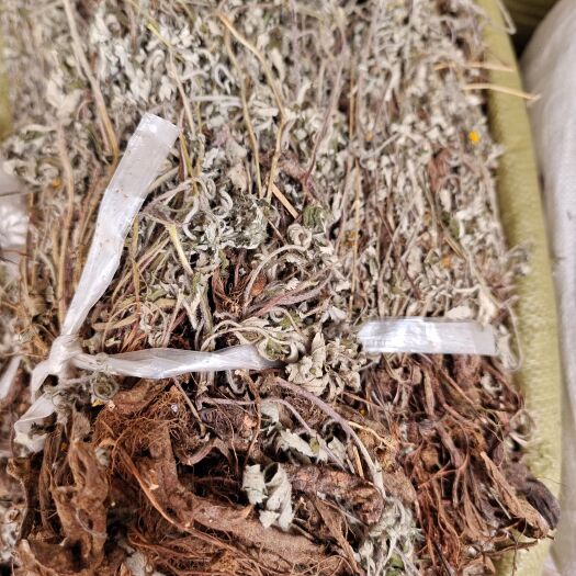 玉林翻白草  正品翻白草整颗带根