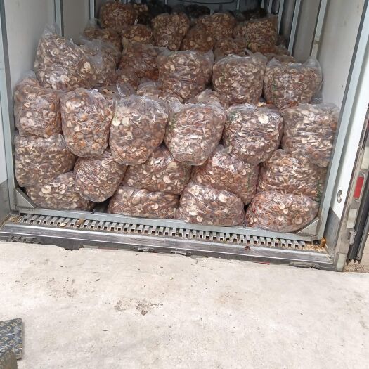 邢台香菇 工厂货源片菇