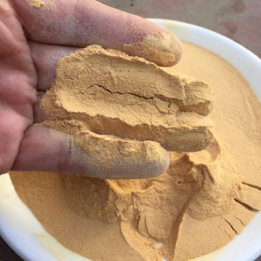 隆尧县 玉米浆干粉