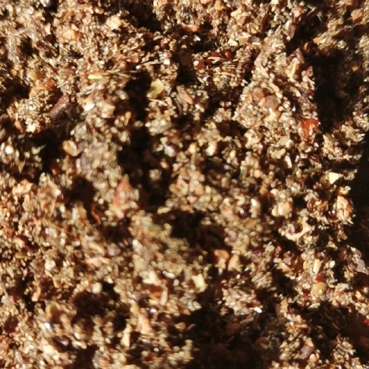 海兴县饲料枣粉 枣粉饲料高蛋白吸收脂肪能量热量养殖畜禽牛羊鸡鸭鹅猪