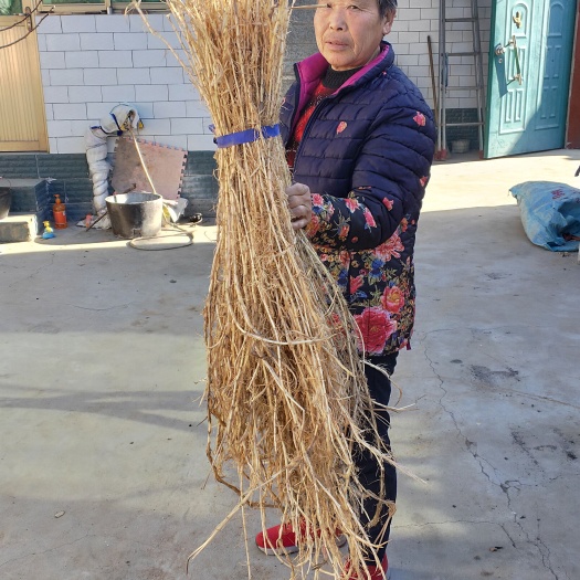 白茅根批发长条短茅根米长段统货毛根甜甜根煲汤原料茅根竹蔗水