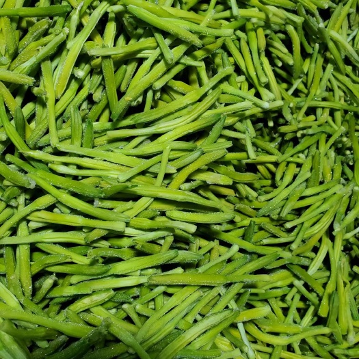 祁东县新鲜黄花菜 冷冻黄花菜，产地直发