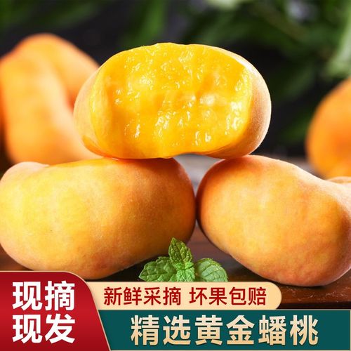 大荔县黄蟠桃  脆甜甜的“黄金蟠桃”新鲜上市，自家基地果园500亩