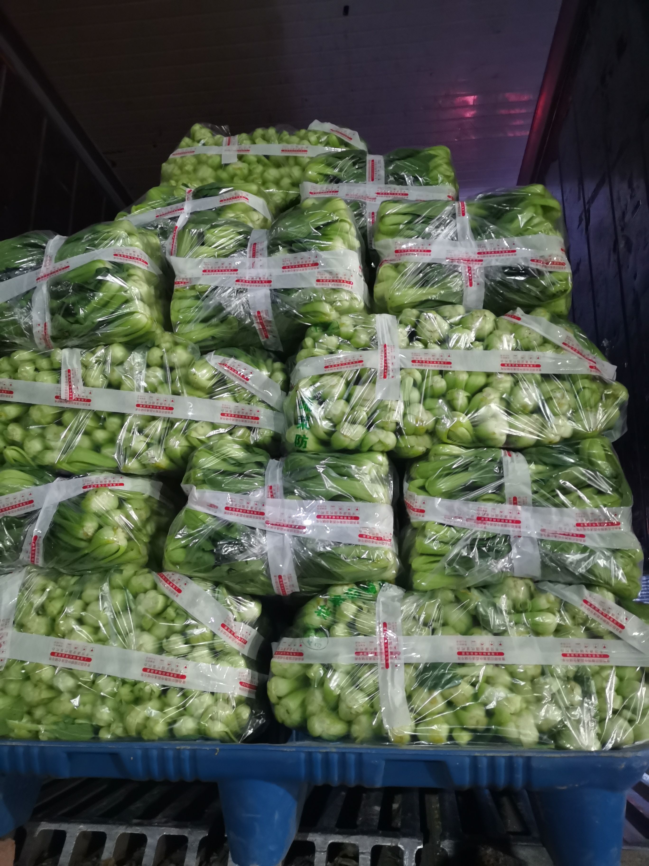 产地直销，一手货源，上海青小油菜，快菜